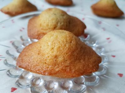 Madeleines a la vanille