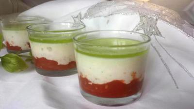 Panacotta tomate mozzarella