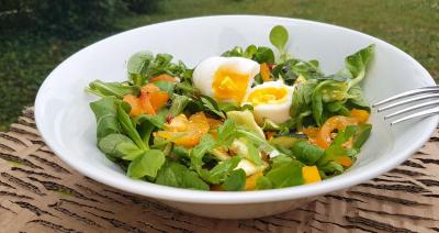 Salade tomates abricots et oeuf 1