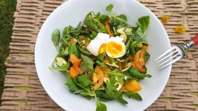 Salade mâche, tomates et abricots